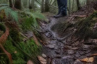 Ground-level view of a muddy forest path in autumn with the lower legs of a hiker in boots standing carefully, surrounded by wet leaves and moss, in soft natural light.